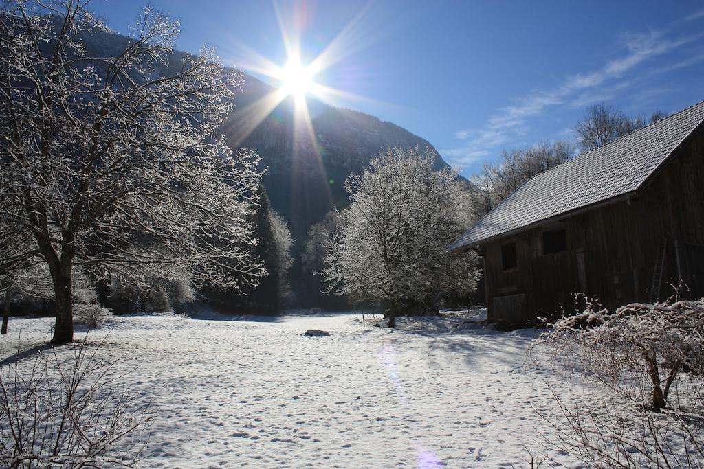 La Clairiere Du Moulin Bed & Breakfast Lepin-le-Lac Luaran gambar