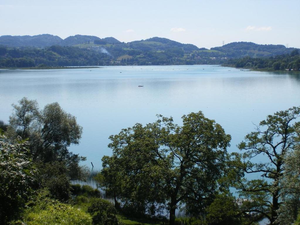 La Clairiere Du Moulin Bed & Breakfast Lepin-le-Lac Luaran gambar